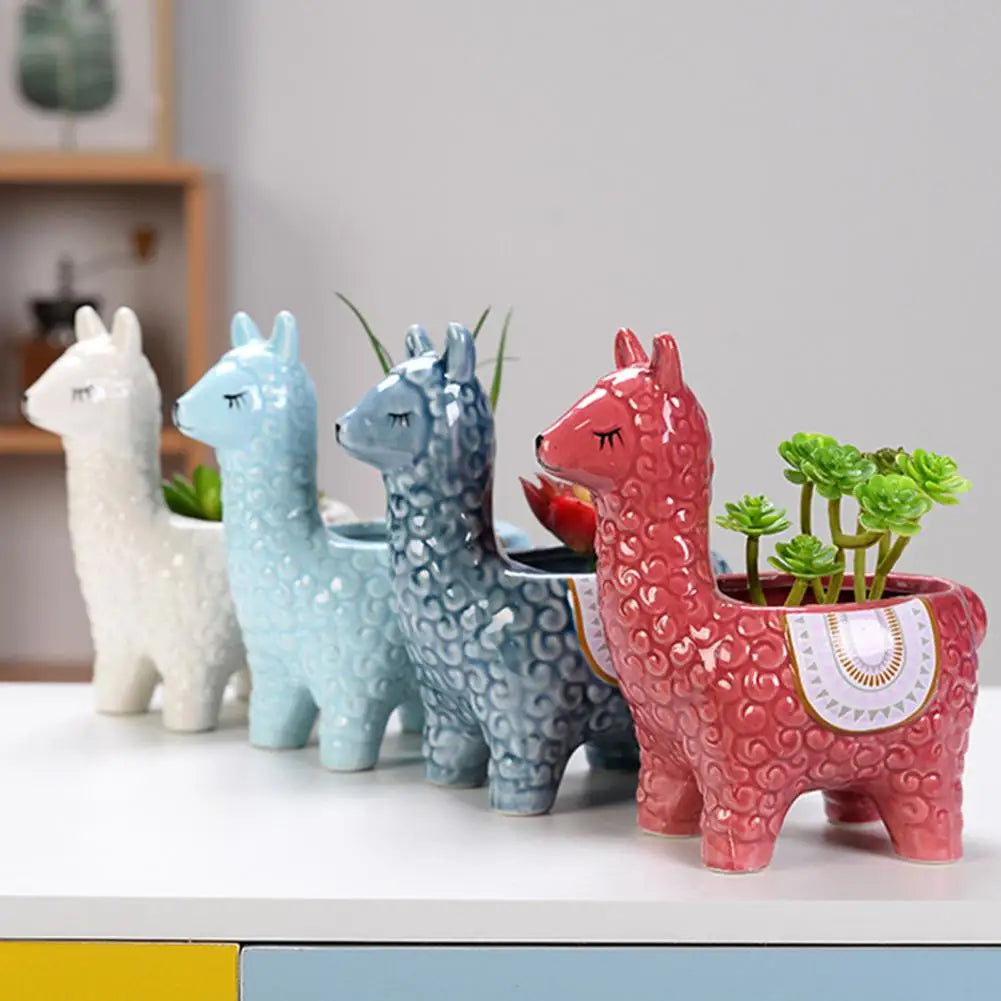 Akusi Alpaca Planters