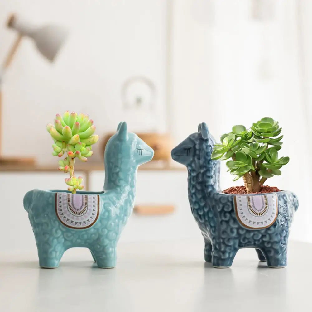 Akusi Alpaca Planters