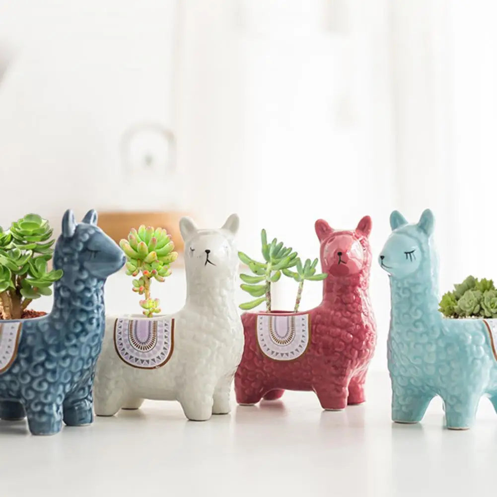 Akusi Alpaca Planters